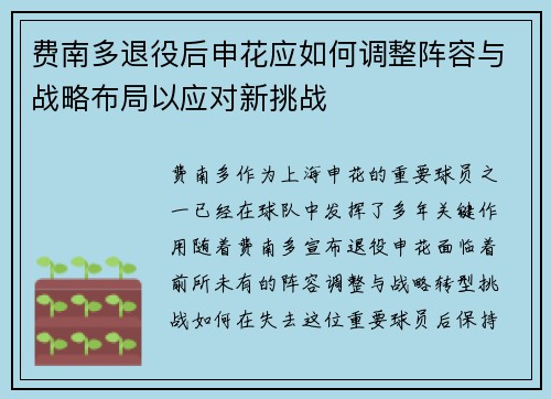 费南多退役后申花应如何调整阵容与战略布局以应对新挑战