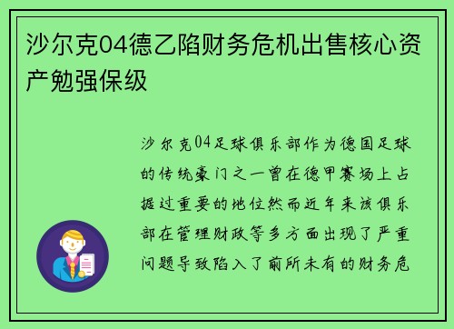 沙尔克04德乙陷财务危机出售核心资产勉强保级 沙尔克04德乙陷财务危机出售核心资产勉强保级