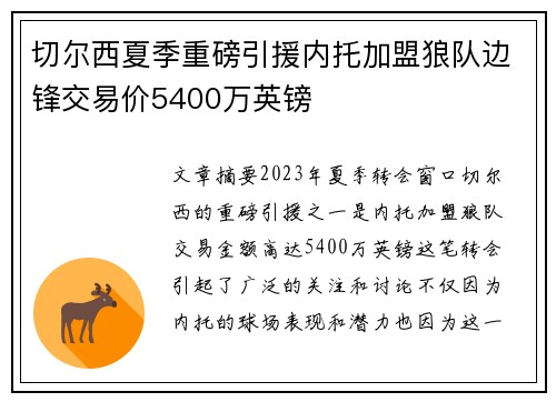切尔西夏季重磅引援内托加盟狼队边锋交易价5400万英镑 切尔西夏季重磅引援内托加盟狼队边锋交易价5400万英镑